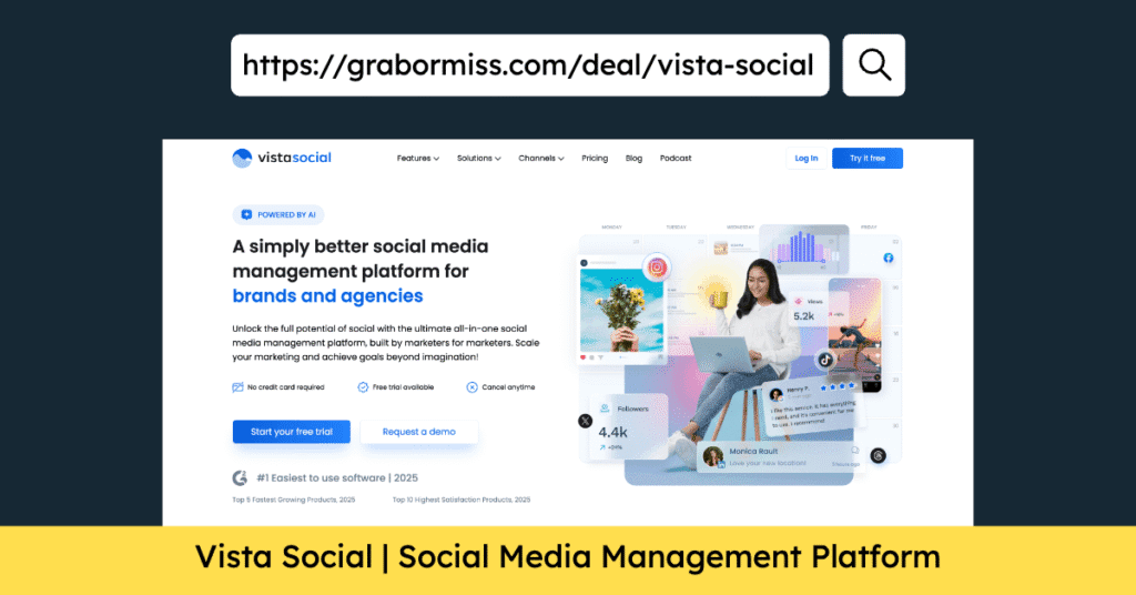 Website Mockup of Vista Social App